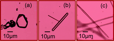 Graphical abstract: Supersaturation dependent nucleation control and separation of mono, ortho and unstable polymorphs of paracetamol by swift cooling crystallization technique