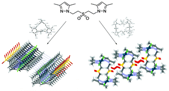 Graphical abstract: Study of new metallomacrocyclic Pd(ii) complexes based on hybrid pyrazole sulfoxide/sulfone ligands and their contribution to supramolecular networks