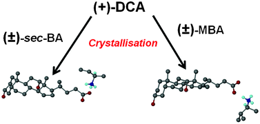 Graphical abstract: Salts of (+)-deoxycholic acid with amines: structure, thermal stability, kinetics of salt formation, decomposition and chiral resolution