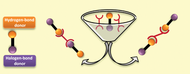 Graphical abstract: Competing hydrogen-bond and halogen-bond donors in crystal engineering