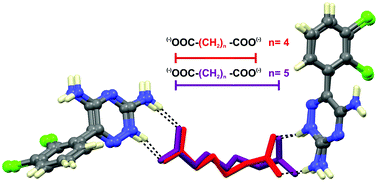 Graphical abstract: Isostructurality in three-component crystals achieved by the combination of persistent hydrogen bonding motifs and solvent inclusion