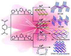 Graphical abstract: Assembly of Zn/Cd coordination polymers containing helixes or polycatenane structures tuned by the tri-pyridyl–bis-amide ligands with different spacer: syntheses, structures, photoluminescent and photocatalytic properties