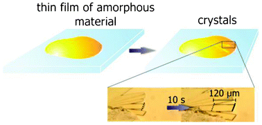 Graphical abstract: Crystal growth rates and molecular dynamics of nifedipine