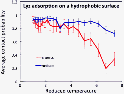 Graphical abstract: Thermal stability limits of proteins in solution and adsorbed on a hydrophobic surface