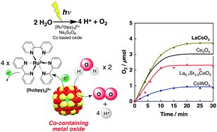 Graphical abstract: LaCoO3 acting as an efficient and robust catalyst for photocatalytic water oxidation with persulfate
