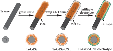 Graphical abstract: Wire-supported CdSe nanowire array photoelectrochemical solar cells