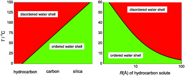 Graphical abstract: Hydrogen-bonded network of hydration water around model solutes