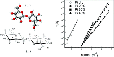 Graphical abstract: Dynamical behavior of highly concentrated trehalose water solutions: a dielectric spectroscopy study