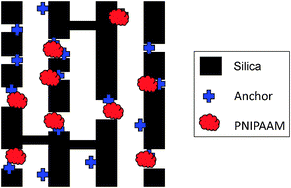 Graphical abstract: Mapping the location of grafted PNIPAAM in mesoporous SBA-15 silica using gas adsorption analysis