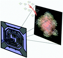 Graphical abstract: Styrene oligomerization as a molecular probe reaction for Brønsted acidity at the nanoscale