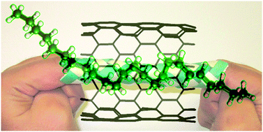 Graphical abstract: Confinement induced conformational changes in n-alkanes sequestered within a narrow carbon nanotube