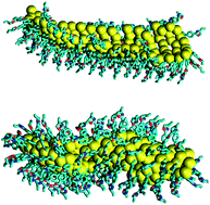 Graphical abstract: On the modeling of aggregates of an optically active regioregular polythiophene