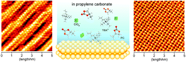 Graphical abstract: Potential-induced phase transition of low-index Au single crystal surfaces in propylene carbonate solution