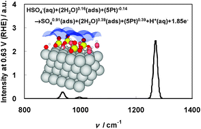 Graphical abstract: First principles study of sulfuric acid anion adsorption on a Pt(111) electrode