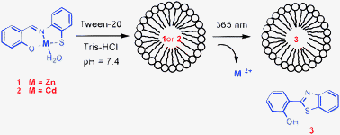 Graphical abstract: Photo-controlled metal-ion (Zn2+ and Cd2+) release in aqueous Tween-20 micelle solution