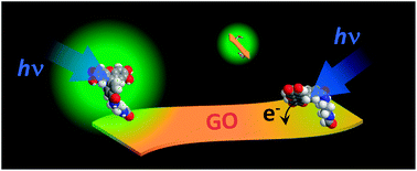 Graphical abstract: Interfacial electron transfer dynamics in dye-modified graphene oxide nanosheets studied by single-molecule fluorescence spectroscopy