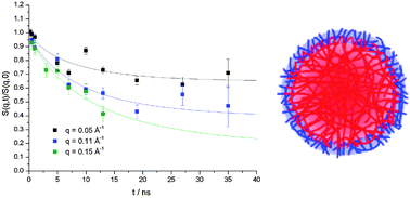 Graphical abstract: Polymer dynamics in responsive microgels: influence of cononsolvency and microgel architecture