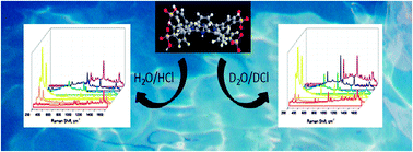 Graphical abstract: Influence of hydrogen bonding on excitonic coupling and hierarchal structure of a light-harvesting porphyrin aggregate