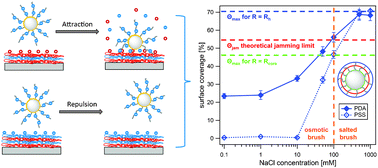 Graphical abstract: Salt-regulated attraction and repulsion of spherical polyelectrolyte brushes towards polyelectrolyte multilayers