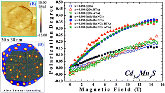 Graphical abstract: Magneto-optical properties of Cd1−xMnxS nanoparticles: influences of magnetic doping, Mn2+ ions localization, and quantum confinement