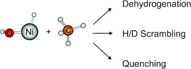 Graphical abstract: A computational study on the intriguing mechanisms of the gas-phase thermal activation of methane by bare [Ni(H)(OH)]+