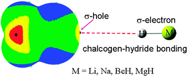 Graphical abstract: Prediction and characterization of a chalcogen–hydride interaction with metal hybrids as an electron donor in F2CS–HM and F2CSe–HM (M = Li, Na, BeH, MgH, MgCH3) complexes