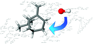 Graphical abstract: A theoretical study of the OH-initiated gas-phase oxidation mechanism of β-pinene (C10H16): first generation products