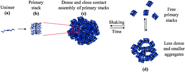 Graphical abstract: Hierarchical supramolecular structuring and dynamical properties of water soluble polyethylene glycol–perylene self-assemblies