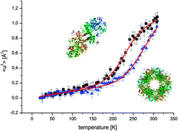 Graphical abstract: Activity and molecular dynamics relationship within the family of human cholinesterases