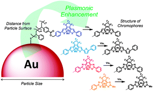 Graphical abstract: Plasmonic enhancement of gold nanoparticles on photocycloreversion reaction of diarylethene derivatives depending on particle size, distance from the particle surface, and irradiation wavelength