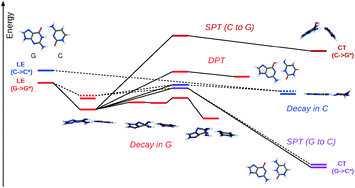 Graphical abstract: Photoreaction channels of the guanine–cytosine base pair explored by long-range corrected TDDFT calculations