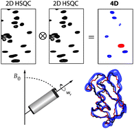 Graphical abstract: 4D solid-state NMR for protein structure determination