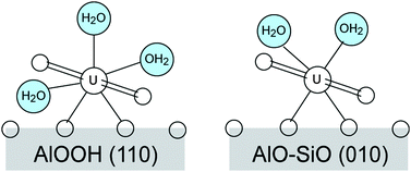 Graphical abstract: Uranyl adsorption on solvated edge surfaces of pyrophyllite: a DFT model study