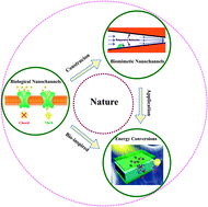 Graphical abstract: Construction of biomimetic smart nanochannels with polymer membranes and application in energy conversion systems