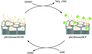 Graphical abstract: Switching of fluorescence mediated by a peroxynitrite–glutathione redox reaction in a porous silicon nanoreactor