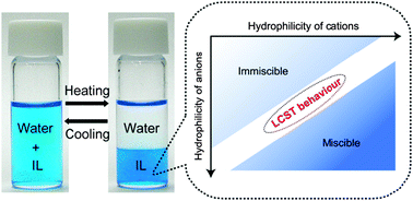 Graphical abstract: Temperature-responsive ionic liquid/water interfaces: relation between hydrophilicity of ions and dynamic phase change