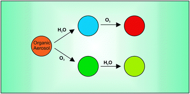 Graphical abstract: The effect of humidity on the ozonolysis of unsaturated compounds in aerosol particles