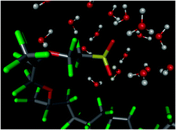 Graphical abstract: Insight from molecular modelling: does the polymer side chain length matter for transport properties of perfluorosulfonic acid membranes?