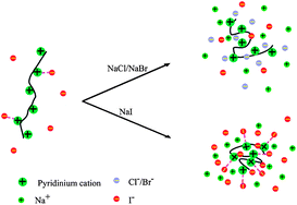 Graphical abstract: Ion-specific effect on dynamics of polyelectrolyte chains