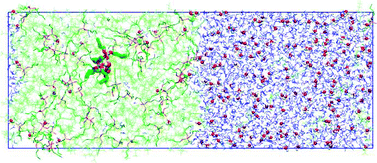 Graphical abstract: Acid extraction to a hydrophobic ionic liquid: the role of added tributylphosphate investigated by experiments and simulations