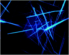 Graphical abstract: Physics and engineering of peptide supramolecular nanostructures