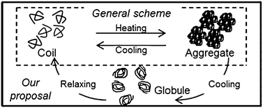 Graphical abstract: Conformational relaxation dynamics of a poly(N-isopropylacrylamide) aqueous solution measured using the laser temperature jump transient grating method