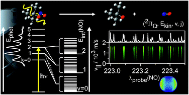 Graphical abstract: Photodissociation dynamics of tert-butylnitrite following excitation to the S1 and S2 states. A study by velocity-map ion-imaging and 3D-REMPI spectroscopy