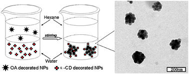 Graphical abstract: Construction of nanoparticle superstructures on the basis of host–guest interaction to achieve performance integration and modulation