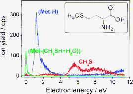 Graphical abstract: Decomposition of methionine by low energy electrons