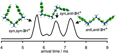 Graphical abstract: Identification and interconversion of diastereomeric oligo-Tröger bases probed by ion mobility mass spectrometry