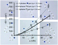 Graphical abstract: Analog modeling of Worm-Like Chain molecules using macroscopic beads-on-a-string