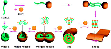 Graphical abstract: Selective recognition induced nanostructures in a cucurbit[7]uril-based host–guest system: micelles, nanorods and nanosheets