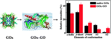 Graphical abstract: Insight into the effects of graphene oxide sheets on the conformation and activity of glucose oxidase: towards developing a nanomaterial-based protein conformation assay