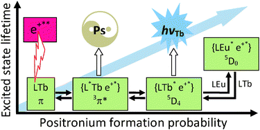Graphical abstract: Evidence of the participation of electronic excited states in the mechanism of positronium formation in substitutional Tb1−xEux(dpm)3 solid solutions studied by optical and positron annihilation spectroscopies